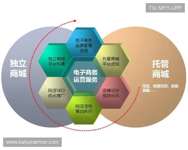 探索云开网站在电商平台中的应用潜力